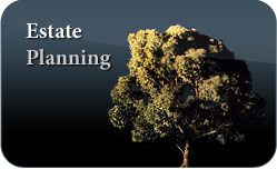 Estate Planning